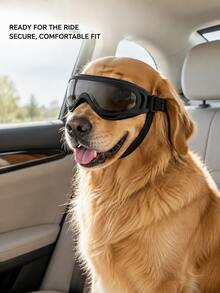 New Pet Goggles, Dog Windproof Sunglasses, Dog Protective Glasses For Teddy, French Bulldog, Corgi - Multicolor - View 3
