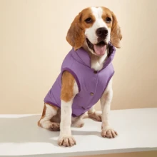 1pc Minimalist Solid Color Winter Thermal Lined Pet Coat, Medium To Large Dog Padded Coat, Outdoor Windproof, Suitable For Golden Retriever, Border Collie, Labrador, Dog Clothes - Purple - View 2