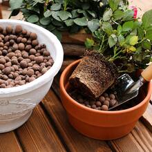 400/800g Multi-Purpose Expanded Clay Pebbles (Leca Balls) – Suitable For Pot Top Dressing, Bottom Drainage Layer, Hydroponic Plants & Orchid Planting, Excellent Drainage & Aeration, Prevents Root Rot, Reusable - Ceramic Clay Pebbles - View 6