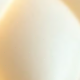 多色