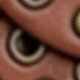 Reddish Brown