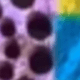Multicolor