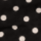 Black Polka Dot