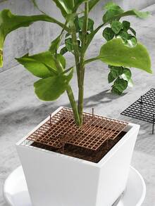 Round/Square Plant Pot Cover Plant Protection Shields,Center Hollowed-Out Grid With Soil Protection Devices,Flower Pot Protective Guard,Flowerpot Guardrail,Anti-Cat&Dog Digging Flower Pot Mesh Enclosure,Ideal Gift For Gardening Enthusiasts,Can Be Cut - A - View 3