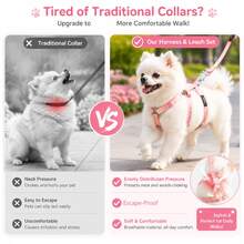 Cat Harness And Leash Set, Adjustable Gradient Vest Harness With Leash For Cats And Small Dogs, Comfortable Lightweight Walking Harness For Outdoor Walking - Multicolor - View 4
