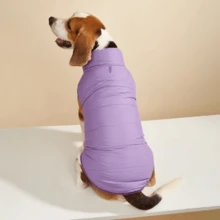 1pc Minimalist Solid Color Winter Thermal Lined Pet Coat, Medium To Large Dog Padded Coat, Outdoor Windproof, Suitable For Golden Retriever, Border Collie, Labrador, Dog Clothes - Purple - View 3