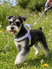 1pc Adjustable Pet Saddle-Style Harness, Soft Sponge Handle Design, Reflective Wavy Stripe Dog Chest Strap, Lightweight Comfortable Small Dog Puppy Walking Harness, Outdoor Pet Supplies, Cat Dog Accessories Dog Leash Harness, Small Dog Harness, Puppy Travel Essential, Car Pet Supplies, Cat Dog Goodies, Dog Leash, Cute Pet Outdoor Walking Gear - Multicolor - View 3