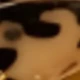 Multicolor