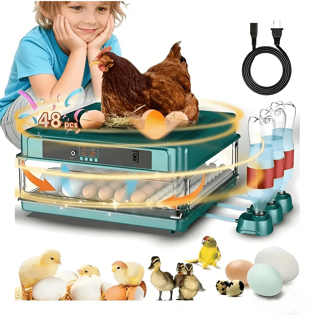 Egg Handling Supplies