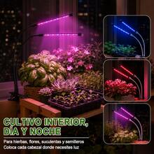 Growing Lamps - Red and Blue Light - View 7