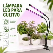 Growing Lamps - Red and Blue Light - View 1