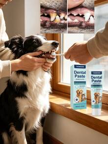 Dog And Cat Toothpaste, Universal For Cats And Dogs, Fresh Breath, Gentle Stain And Tartar Removal, Oral Care. This Toothpaste Is Suitable For Dogs And Cats, Focusing On Daily Pet Oral Care. It Helps Reduce Tooth Stains And Tartar, Freshen Breath, And Improve Oral Health. The Gentle Texture Is Suitable For The Mouths Of Cats And Dogs. Daily Use Of This Product Can Keep Your Pet's Mouth Clean And Fresh. - View 2