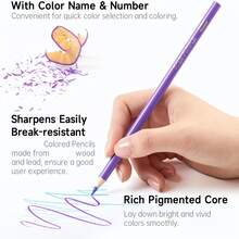 180pcs Colored Pencils Set, Suitable For Adult Coloring Books, Perfect For Coloring, Layering And Blending - 180 Colors Of Oil Colored Pencils - View 4