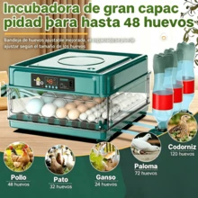 Egg Handling Supplies - US A Type Plug(110-127V) - View 9