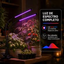 Growing Lamps - Red and Blue Light - View 2