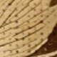 متعدد الألوان