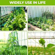 High-Quality Nylon Garden Net, Suitable For Luffa, Morning Glory, Vine Plants, Climbing Plants, Cucumber Vines, Etc., Can Be Used As Planting Support - Green - View 2