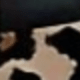 多色