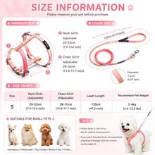 Cat Harness And Leash Set, Adjustable Gradient Vest Harness With Leash For Cats And Small Dogs, Comfortable Lightweight Walking Harness For Outdoor Walking - Multicolor - View 3