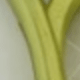 Tennis Green