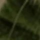 متعدد الألوان