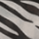 Beige Zebra Print