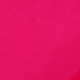 Rosa Fucsia
