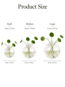 1Pc/2Pcs/4Pcs Semi‑Circular Wall‑Mount Glass Vase, Ins‑Style Hanging Water Plant Planter, Must‑Have Eye‑Catching Wall Ornament For Home Office Wall Decor - Multiple Styles - View 8