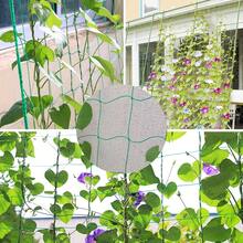 High-Quality Nylon Garden Net, Suitable For Luffa, Morning Glory, Vine Plants, Climbing Plants, Cucumber Vines, Etc., Can Be Used As Planting Support - Green - View 1