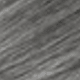 SGray