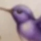 Purple Bird