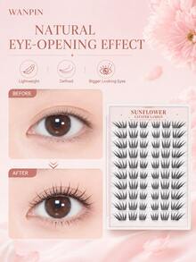 WANPIN Segmented False Eyelashes, Beginner-Friendly, Ready To Use, Reusable, Glue-Free Option Available, Varied Lengths, Natural Hair-Like Texture, Lightweight And Comfortable On Eyes, No Eye Irritation, Suitable For Daily Commute, Parties And Weddings - C - View 21