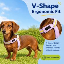 2pcs Rainbow Dog V-Shaped Harness Set, Adjustable Y-Shaped Harness With Leash, Comfortable Neck Protection, Suitable For Medium And Small Dogs For Daily Walking And Training, Prevents Pet Escape, Small Dog Harness, Medium Dog Harness, Harness + Leash - Multicolor - View 3