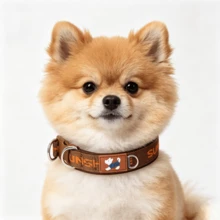 1 Buah Kalung Anjing Gaya Vintage | Cincin Ganda Berkekuatan Tarik Tinggi | Anyaman Poliester Jacquard Huruf | Lapisan Neoprene yang Nyaman untuk Melindungi Bulu | Dapat Diatur | Cocok untuk Anjing Kecil dan Sedang untuk Penggunaan di Dalam dan Luar Ruangan - Coklat - View 4