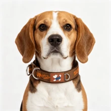 1 Buah Kalung Anjing Gaya Vintage | Cincin Ganda Berkekuatan Tarik Tinggi | Anyaman Poliester Jacquard Huruf | Lapisan Neoprene yang Nyaman untuk Melindungi Bulu | Dapat Diatur | Cocok untuk Anjing Kecil dan Sedang untuk Penggunaan di Dalam dan Luar Ruangan - Coklat - View 5