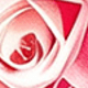 12 Kinds Of Fragrance Mixed