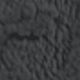 Grey Bear Head