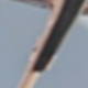 Black Gold