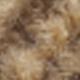Mocha Brown