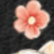 彩色