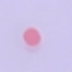 Purple Pink