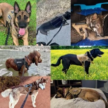 Dog Chest And Back - Tactical Dog Collar, Heavy-Duty Handle-Equipped Dog Collar, Adjustable , Military Dog Back Collar, Suitable For Medium And Large-Sized Dogs, Suitable For Walking, Hiking, Hunting - Multicolor - View 7
