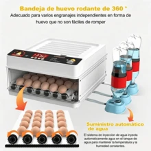 Egg Handling Supplies - White - View 9