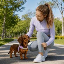 2pcs Rainbow Dog V-Shaped Harness Set, Adjustable Y-Shaped Harness With Leash, Comfortable Neck Protection, Suitable For Medium And Small Dogs For Daily Walking And Training, Prevents Pet Escape, Small Dog Harness, Medium Dog Harness, Harness + Leash - Multicolor - View 9