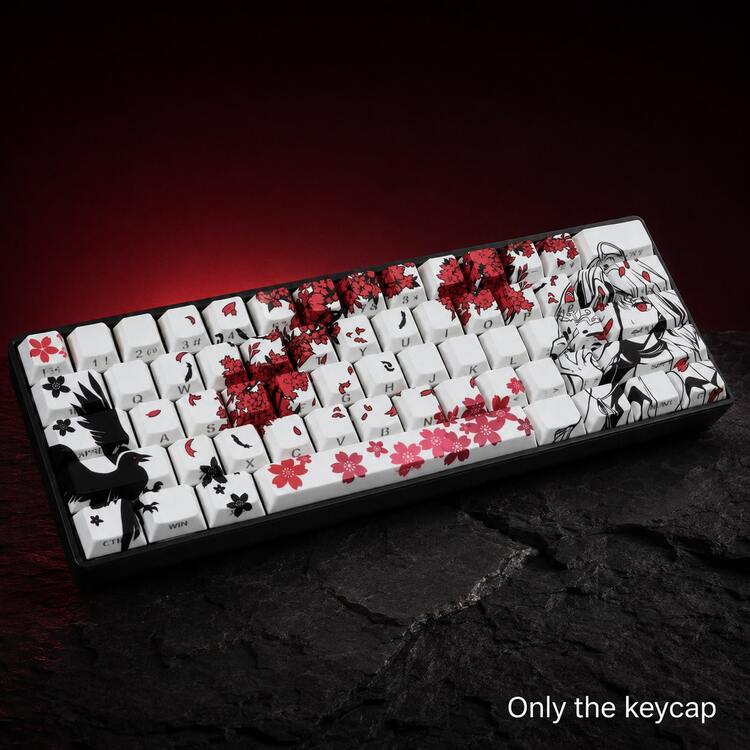 أغطية مفاتيح من مادة PBT محفورة من الجانب بتدرج شفاف، مجموعة أغطية مفاتيح أنمي ساكورا غراب وفتاة، بروفايل CHERRY مناسبة لمفاتيح MX، (لوحة المفاتيح غير مشمولة) طباعة بالتسامي - مشاهدة 5