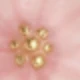 Lucky Pink Five-leaf Clover