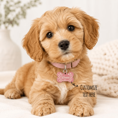 Personalized Bone Pet Tag, Custom Engraved Name, Phone Number, Microchipped Dog Cat Collar ID