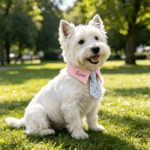Personalized Plaid Dog Bandana – Custom Embroidered Pet Bandana For Dogs & Cats - Puppy Gift - Pink - View 18