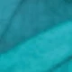 Blue Fine-leaf