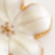 Lucky White Five-leaf Clover